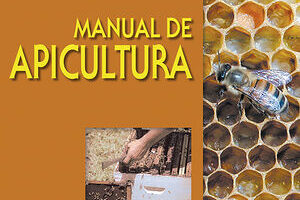 Guía de Iniciación a la Apicultura: Todo el material y presupuesto que necesitas para empezar