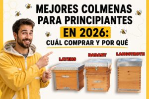 Mejores colmenas para principiantes en 2026: cuál comprar y por qué